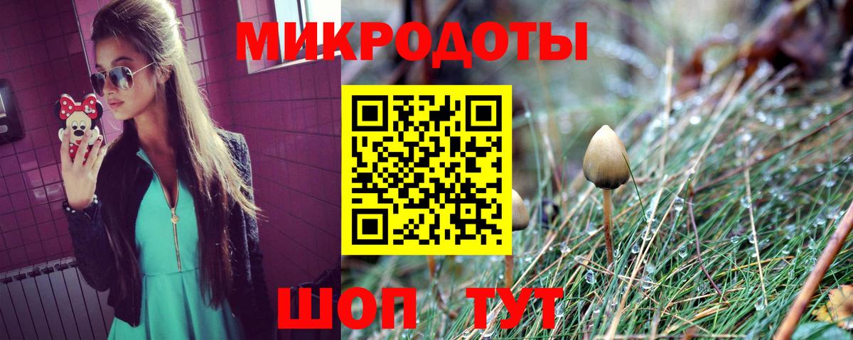 Галлюциногенные грибы Psilocybe Михайловск